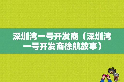 深圳湾一号开发商（深圳湾一号开发商徐航故事）