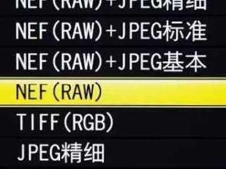 ra是什么意思（raw是什么意思）