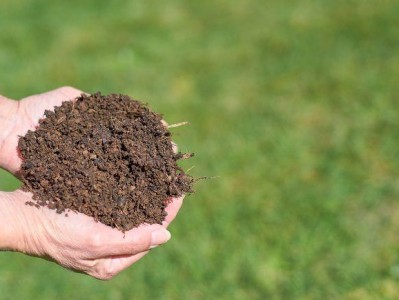 酸性土（酸性土壤的改良方法）