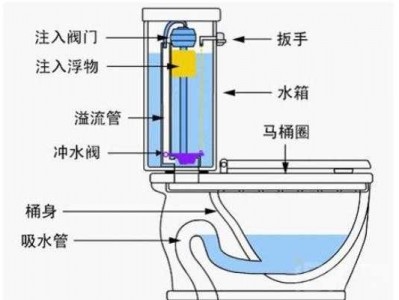 马桶构造（马桶构造的解剖图）