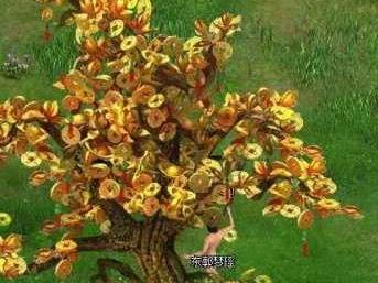 摇钱树苗种植攻略（摇钱树树苗种植攻略）