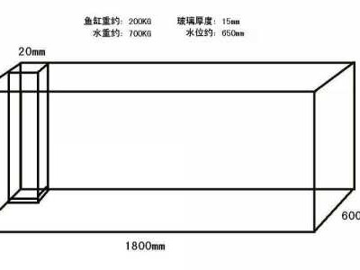鱼缸尺寸（鱼缸尺寸最好最吉利）