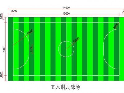 五人制（五人制足球场造价预算）