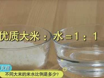 米水（米水比例）