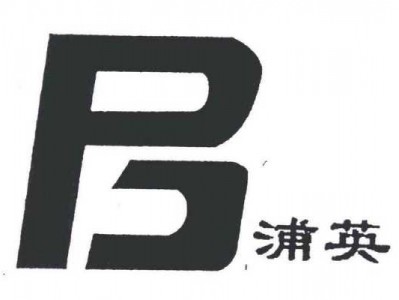 pu什么意思（浦什么意思）