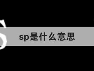 双p是什么意思（双sp是什么意思）