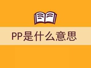 pp是什么意思（pp是什么意思的缩写）