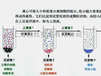 什么叫密度（什么叫密度梯度离心,优点是什么）