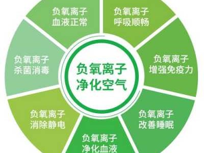 负氧离子是什么（负氧离子是什么材质）