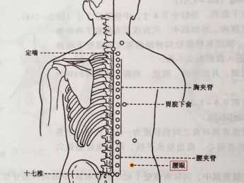 腰门（腰骶部位置图）