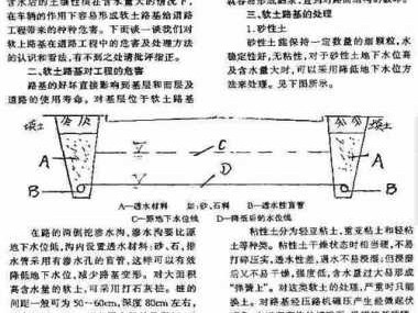 弹簧土（弹簧土怎么处理最简单办法）