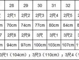 二尺八是多少厘米（二尺二尺八是多少厘米）
