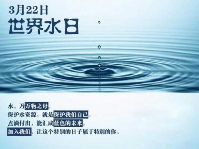 世界水日（世界水日是什么意思）