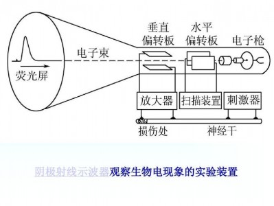 阴极射线（阴极射线示波器实验）