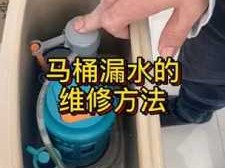 马桶水箱（马桶水箱一直注水漏水怎么办）