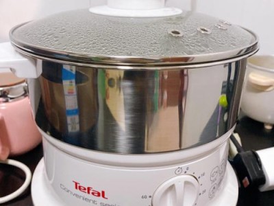 tefal（tefal蒸锅）