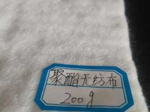 聚酯无纺布（聚酯无纺布200g一平米）