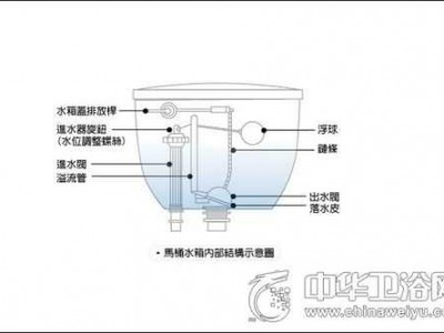 马桶不上水怎么办（马桶不上水怎么办?）