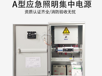 消防应急灯具（消防应急灯具专用应急电源箱）