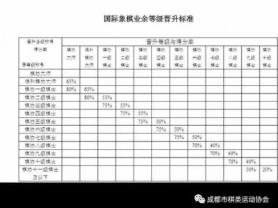 国际象棋比赛（国际象棋比赛等级）