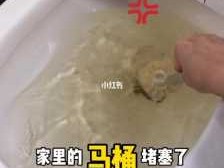 马桶堵了如何疏通（马桶堵了如何疏通马桶）