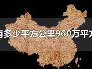 中国多大面积（中国多大面积平方公里）