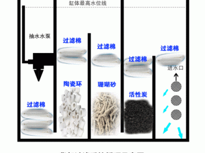 自制鱼缸过滤器（自制鱼缸过滤器循环系统）