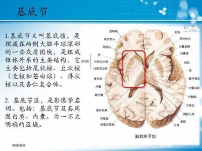 基底面积（基底面积和占地面积的区别）