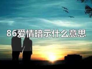 86是什么意思（86是什么意思爱情）