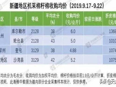 新疆棉花价格（新疆棉花价格2023多少钱一斤）