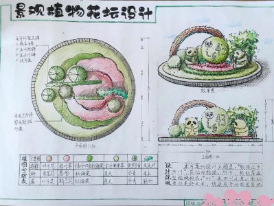 花坛效果图（花坛效果图手绘）