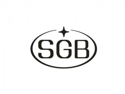 sgb是什么意思（sgb是什么意思网络用语）