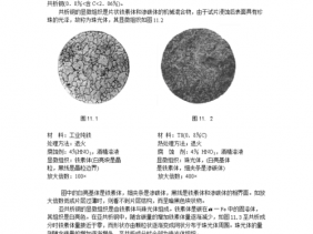 铁碳合金（铁碳合金平衡组织观察实验报告）