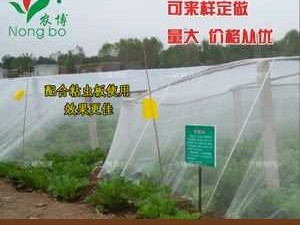 防虫网套什么定额（防虫网规格型号）