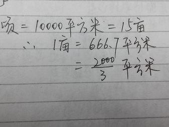 一亩等于多少平方米（一亩等于多少平方米有多大面积）