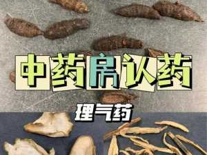 香附用量（香附用几克）