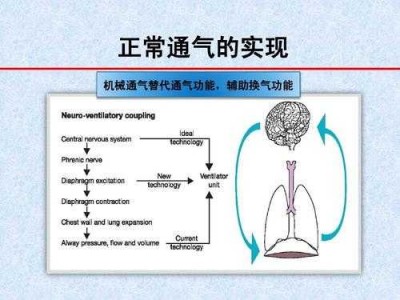 换气功（换气功能障碍中哪一项是错误的）