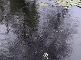 黄梅雨（黄梅雨为什么叫黄梅雨）