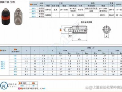 弹簧柱塞（弹簧柱塞尺寸规格）