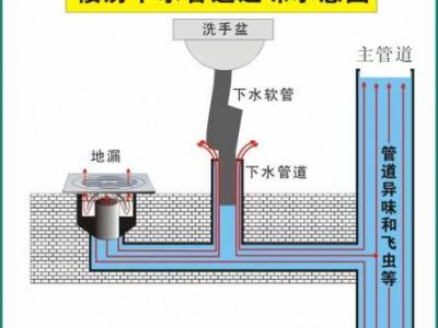 上排水（上排水可以直接排地漏吗）