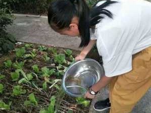 空调水可以浇菜吗（空调水可以浇菜吗怎么浇）