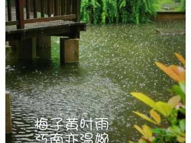 梅雨时（梅雨时节三月春猜一生肖）