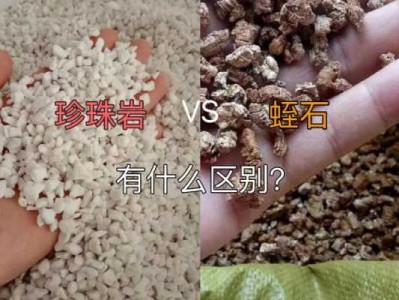 珍珠岩作用（蛭石珍珠岩作用）