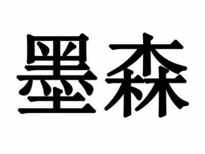 墨森（墨森科技有限公司）