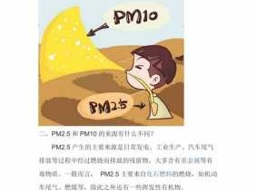 pm是啥意思（pm是啥意思的单位有哪些）