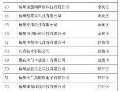 杭州公司排名（杭州公司排名企业名单）