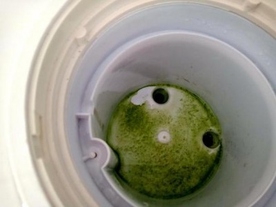 如何清洗饮水机（如何清洗饮水机桶的绿色的东西）