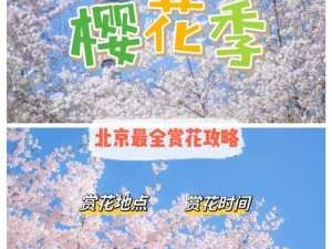 北京樱花（北京樱花园房价）