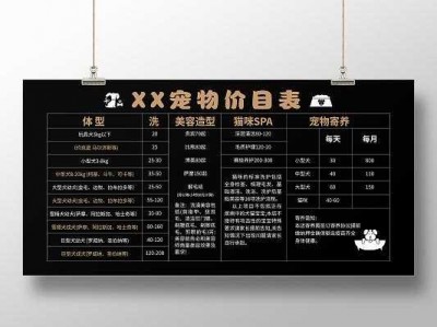 宠物寄养店怎么开（宠物寄养价目表）