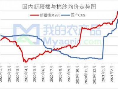 新疆棉花价格（新疆棉花价格最新行情走势图）